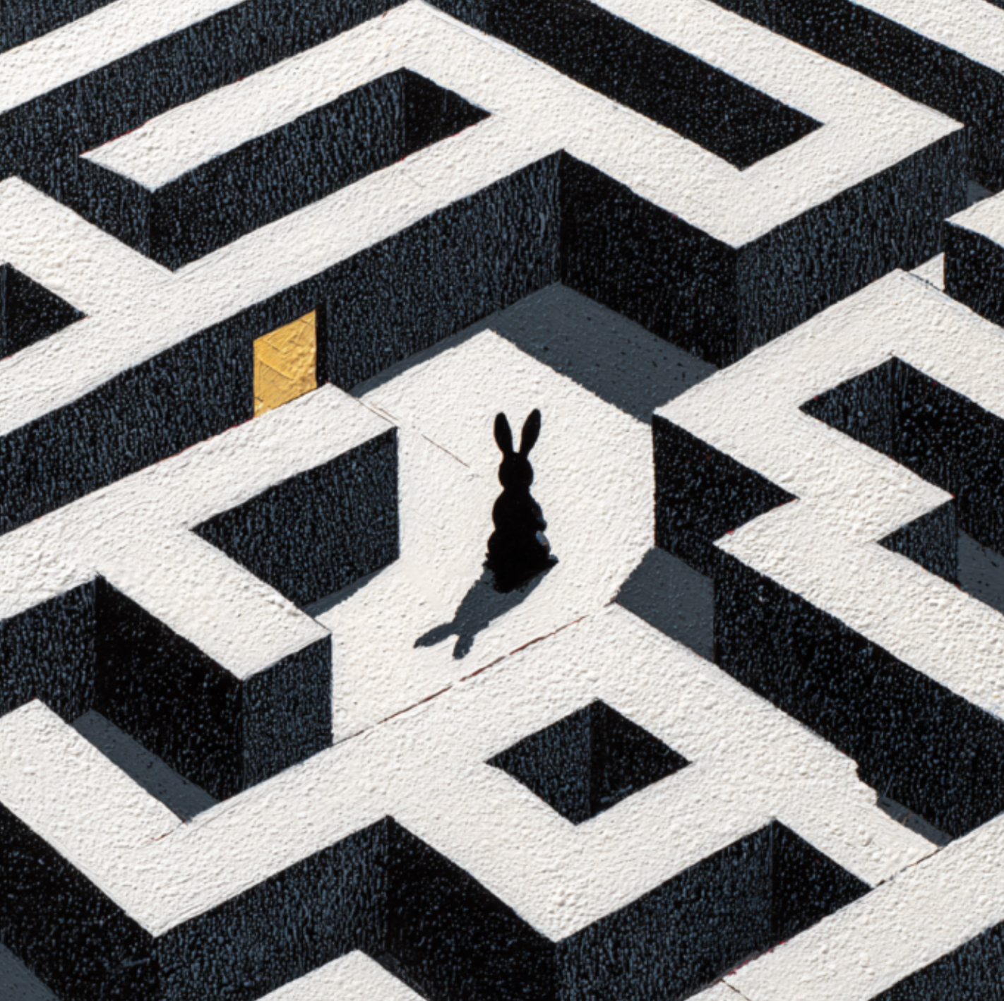 Mind Maze